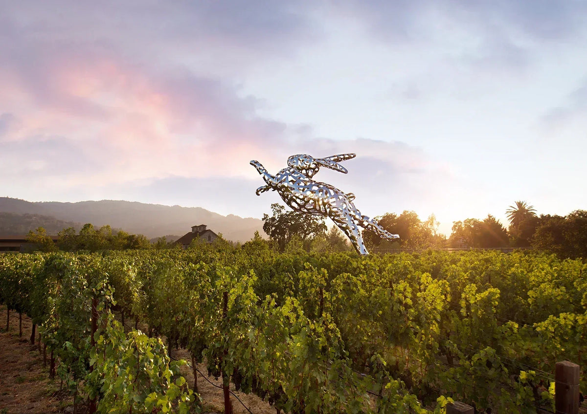 What to Expect at a Napa Valley Wine Tasting: A First-Time Visitor’s Guide