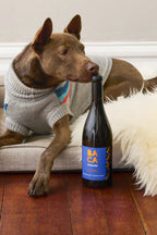 2023 BACA Home Base Zinfandel