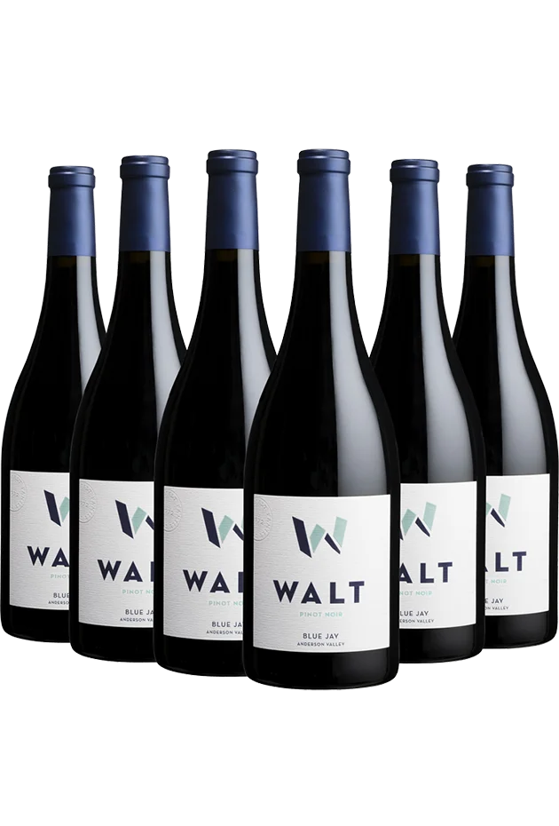 2023 Jay Pinot Noir 6 Pack