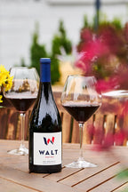 2023 WALT Sta. Rita Hills Pinot Noir